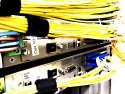 Das Bild zeigt Internetkabel.