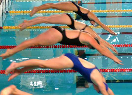 Das Bild zeigt Schwimmer beim Sprung vom Startblock
