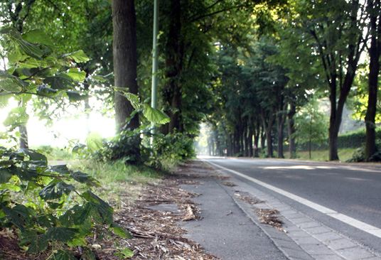 Das Bild zeigt die Konrad-Adenauer-Allee
