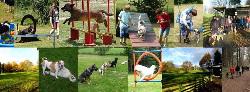 Hundesportverein Haltern am See e.V.