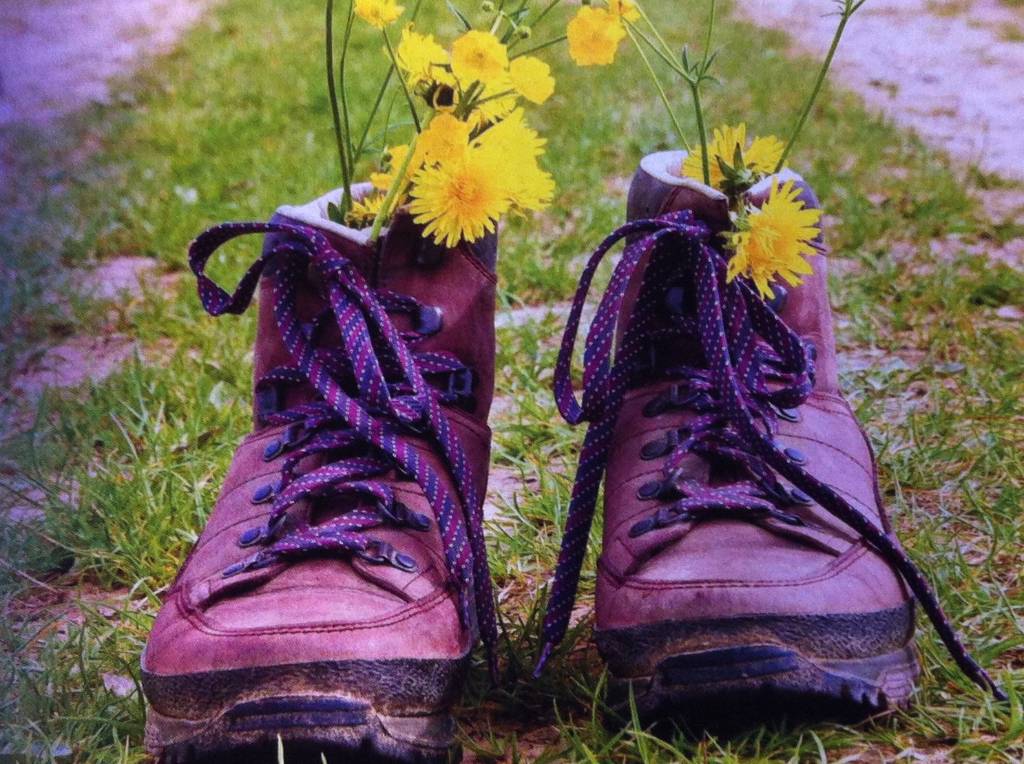 Wanderschuhe mit Bluemchen - Foto Münsterland e.V.