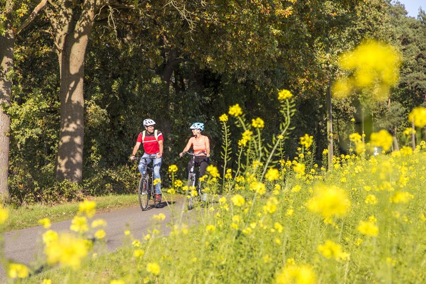 Radfahrer auf der Hohe Mark RadRoute