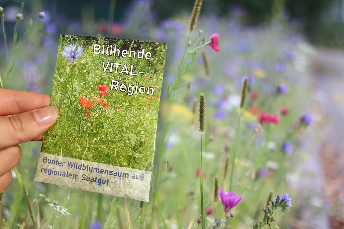Saatgutmischung vor Blumenwiese