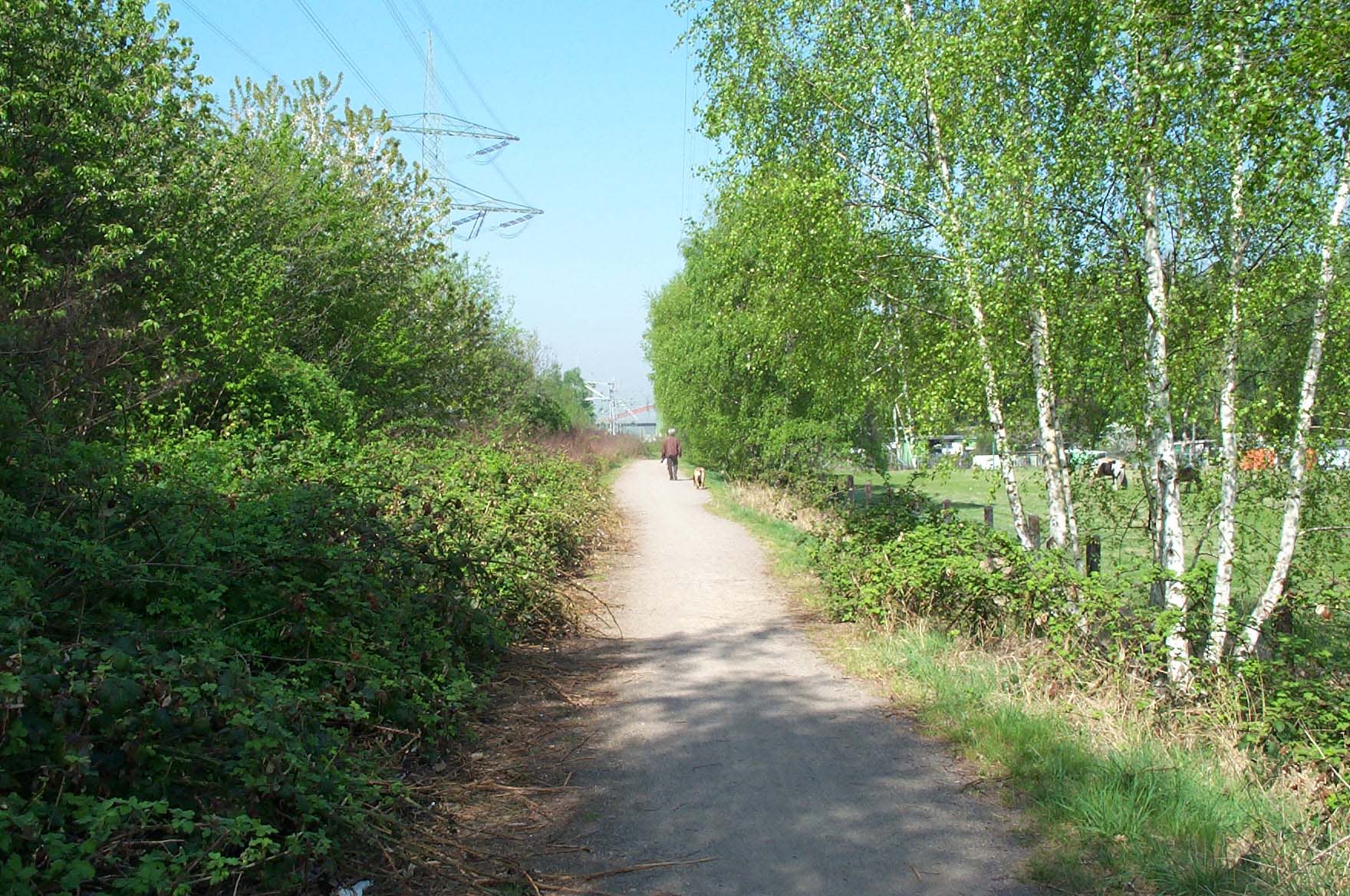 Radweg