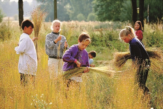 Kinder beim spielen im Gras