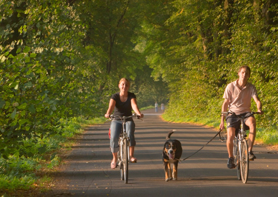 Fahrradfahrer