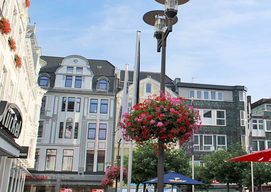 Pflanzschale auf dem Markt