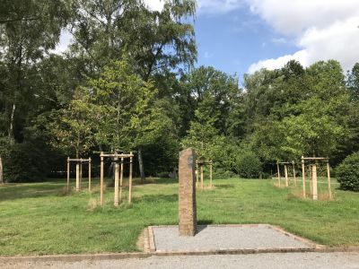  Pressefoto -  So sehen die neuen Friedhaine auf dem Süd- und Zentralfriedhof aus.