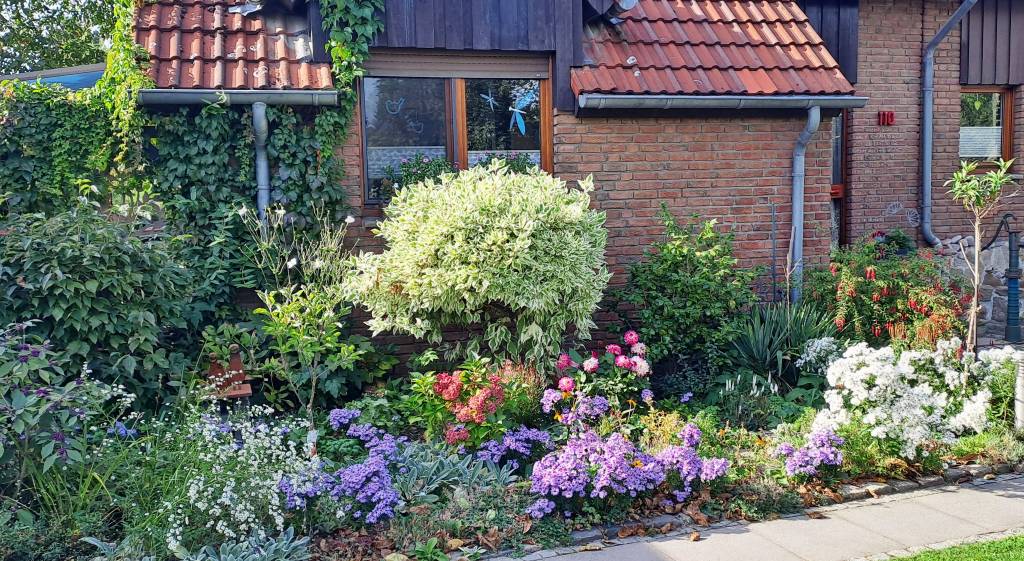 Mitmachen ist beim Vorgarten-Wettbewerb auch in diesem Jahr ganz einfach: das Anmeldeformular ausfüllen und drei aussagekräftige Fotos wie dieses hier vom Sieger des Wettbewerbs im vergangenen Jahr, dem Ehepaar Händschke, einreichen. Foto: privat