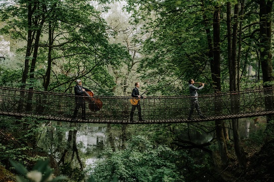 Band Wildes Holz