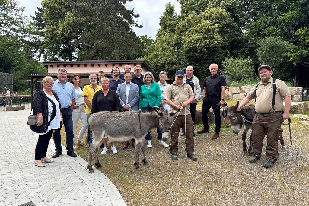 Im Beisein von Vertreter*innen des Fördervereins des Tierparks, der Kommunalen Servicebetriebe Recklinghausen sowie weiterer Förderer des Projekts wurde das neue Eselgehege im Tierpark Recklinghausen den Bewohnerinnen „Finja“ und „Romena“ übergeben.
