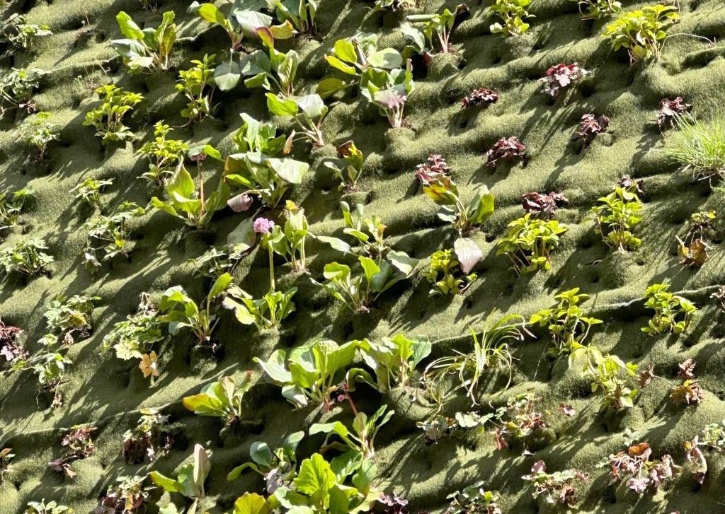 Die grüne Fassade am Marktquartier. Foto: Stadt RE