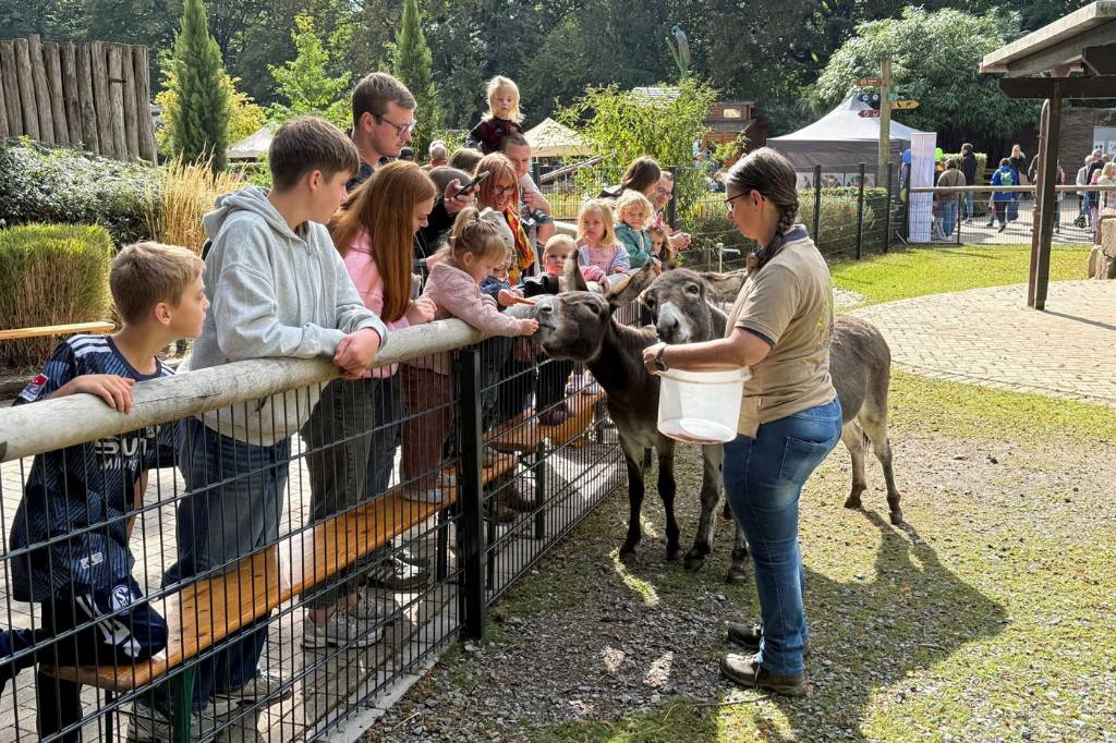 Ein Kind und dessen Mutter betrachten einen Greifvogel beim Recklinghäuser Tierparkfest 2025. 