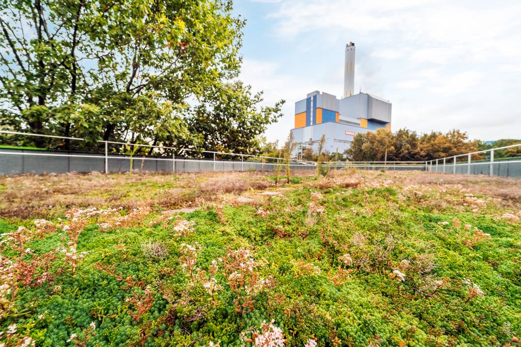 Klimaanpassung für Unternehmen. Foto: Zukunftsinitiative Klima.Werk/EGLV