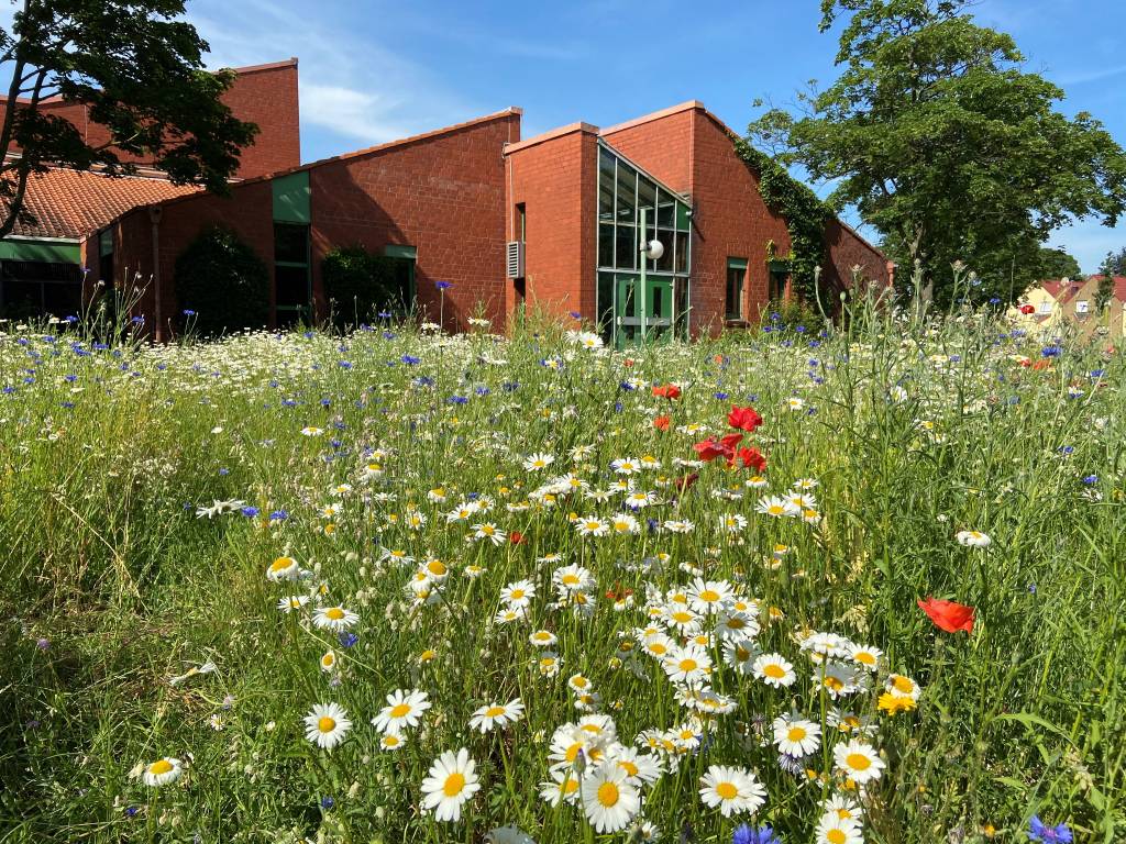 Die zweite Recklinghäuser Armutskonferenz findet erneut im Bürgerhaus Süd, Körnerplatz 2, statt. Foto: Stadt RE 