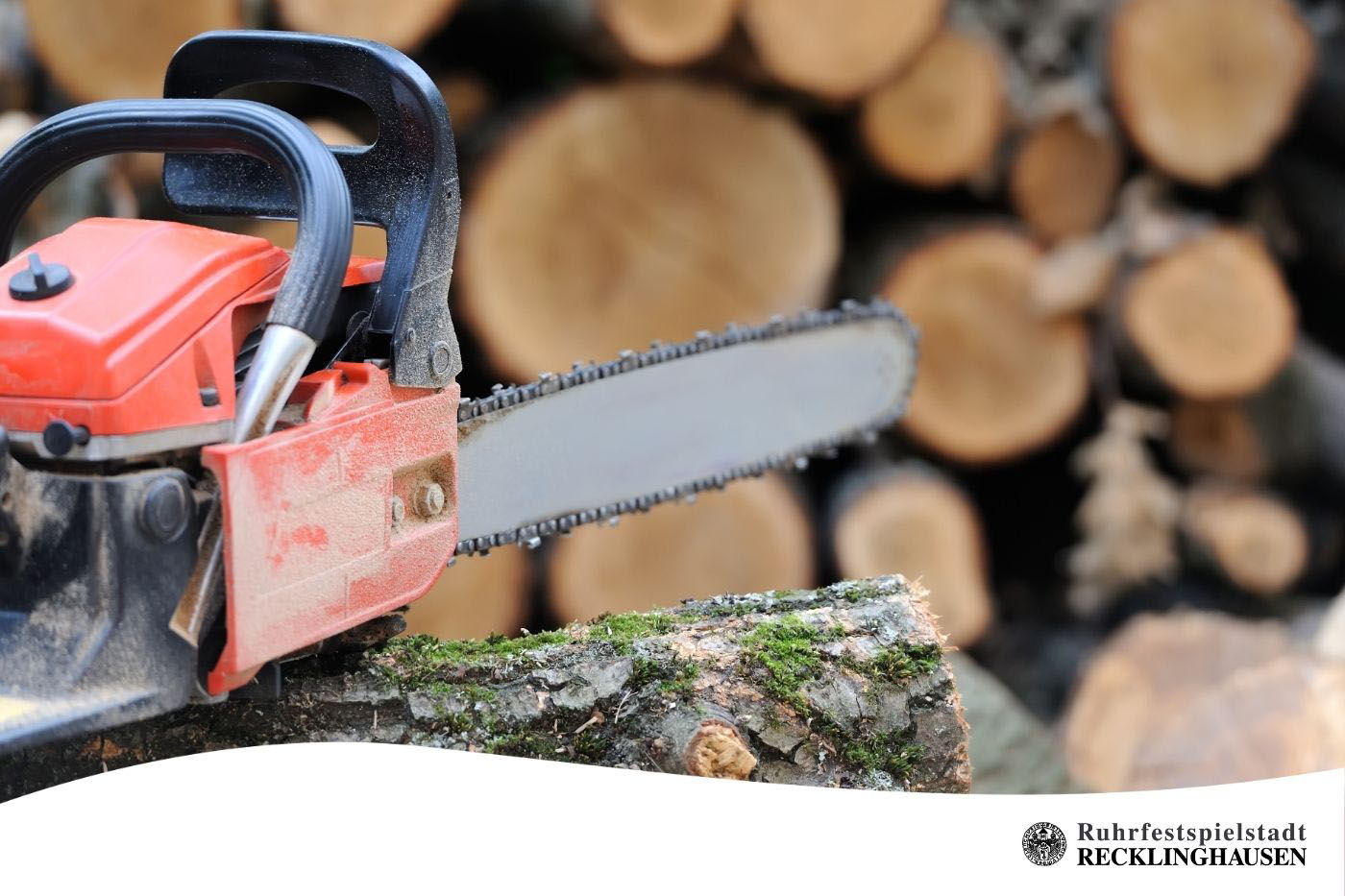 Symbolfoto Baumf&auml;llungen.