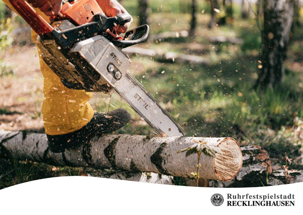 Symbolfoto Rodungsarbeiten