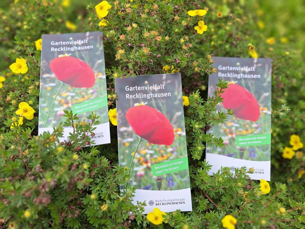 Foto des Flyers. Foto: Stadt RE