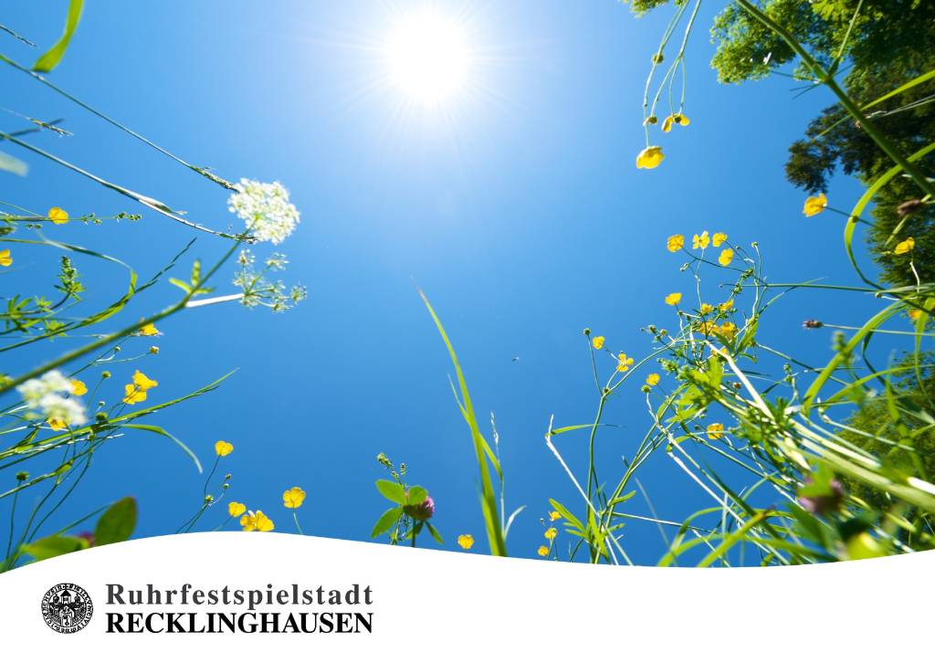 Symbolfoto Sommer